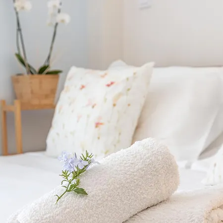 Euphoria Zen Veranda